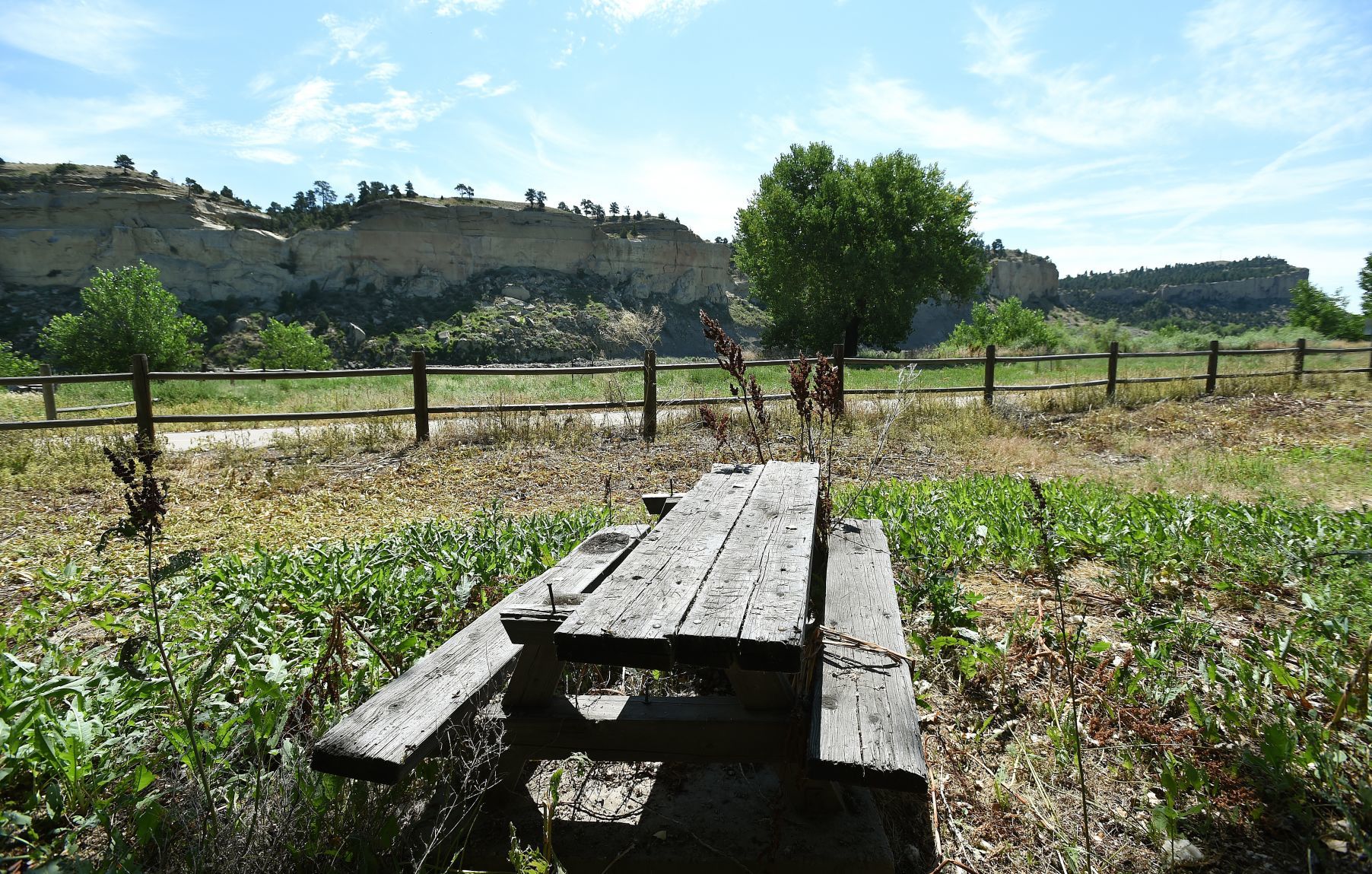 Coulson Park